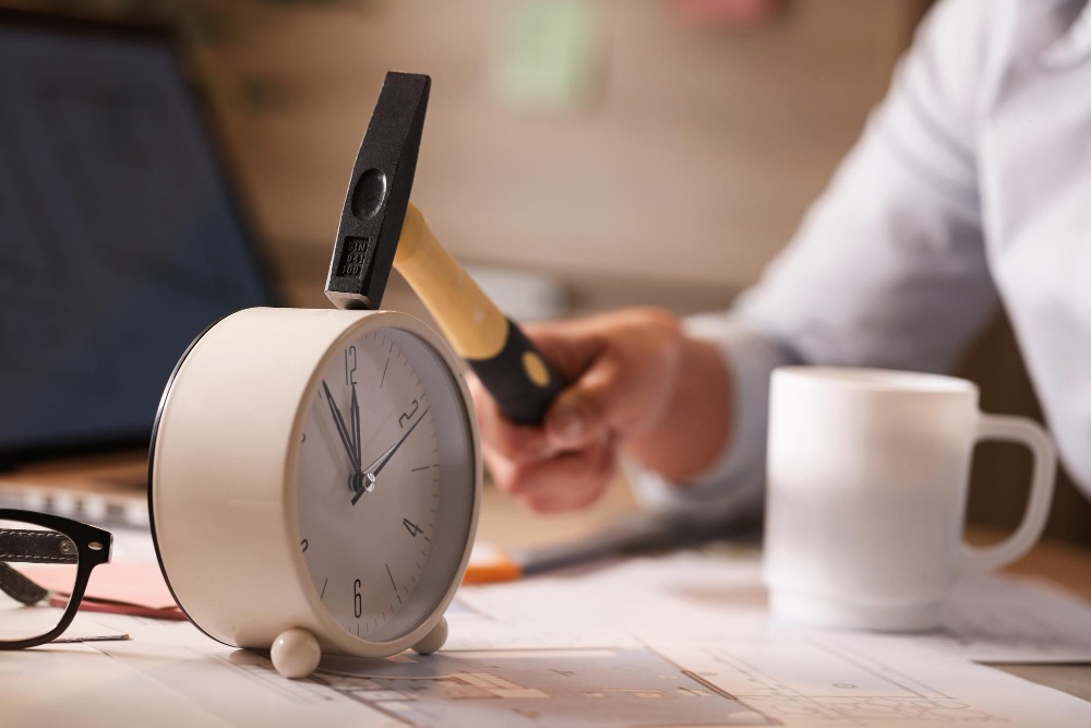 Long-Term Work Visas