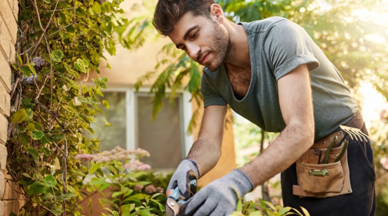 Unlock Opportunities Abroad: Your Guide to Seasonal Worker Visas